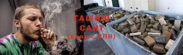стаф Осинники