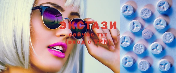 стаф Осинники