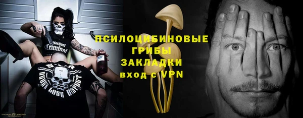 стаф Осинники