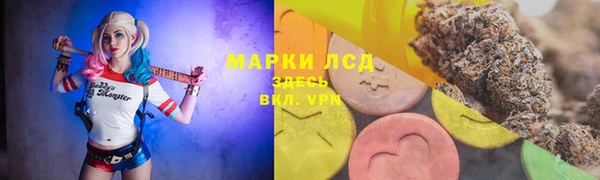 стаф Осинники