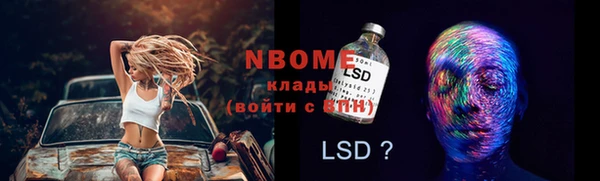 стаф Осинники