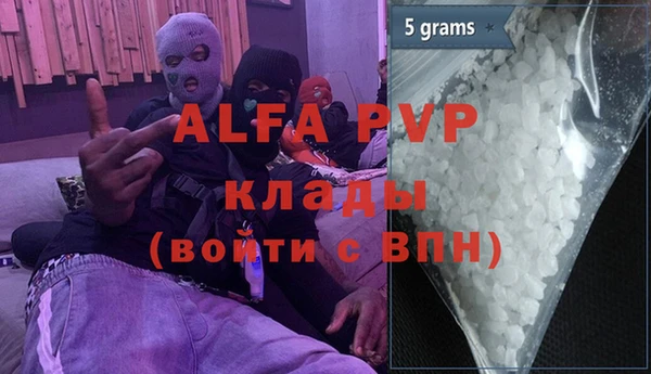 стаф Осинники
