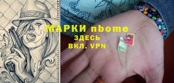 стаф Осинники